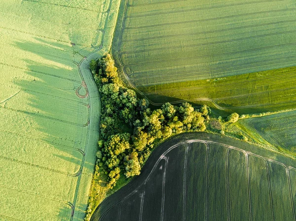 Vista Aérea Sobre Gran Campo Verde —  Fotos de Stock