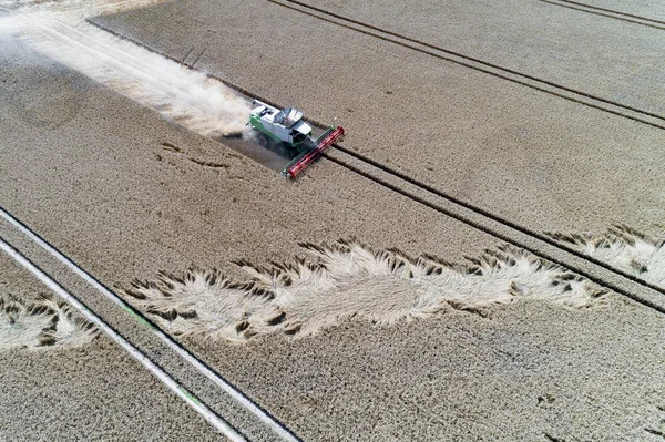 Buğday Sahada Çalışan Hasat Üzerinde Havadan Görünümü — Stok fotoğraf
