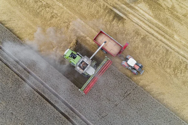 Vista Aérea Cosechadora Trabajando Campo Llenando Camión —  Fotos de Stock