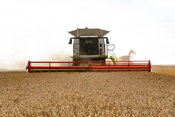 Vista Cercana Cosechadora Trabajando Campo Amarillo — Foto de Stock