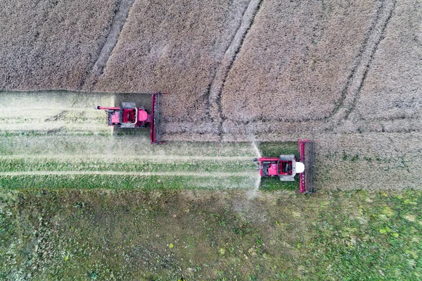 Aerial View Tractors Working Field — Stock Photo, Image