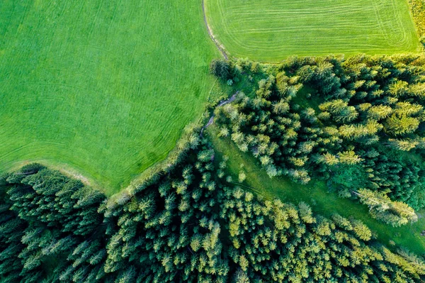 木と緑のフィールドの空中写真 ストック画像