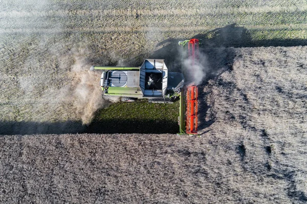 Aerial View Harvester Working Field — Stock Photo, Image