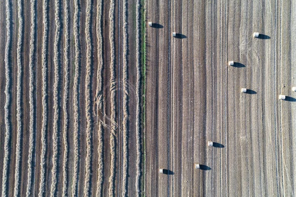 田野上干草包的鸟瞰图 — 图库照片