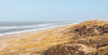 Dnenlandschaft bir Dnemarks Nordseekste 