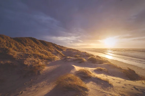 Weite Dnenlandschaft Der Nordsee — Zdjęcie stockowe