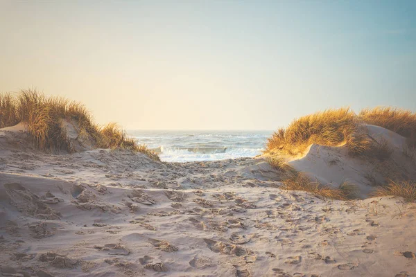 Strand Der Nordseekste — Zdjęcie stockowe