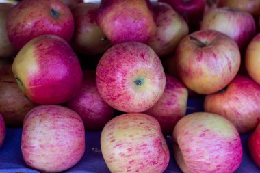 kırmızı elma grubu gelişigüzel yerleştirilir