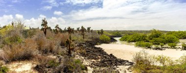 Mavi gökyüzü ve bulutlar altında kaktüs ve bitki örtüsü ile Galapagos Adaları'nda bir deniz girişi muhteşem manzara