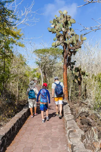 Galapagos, Ecuador, 22 july, 2019. A father with his son and a guide walk along the path to the Tortuga Bay beach in the Galapagos Islands