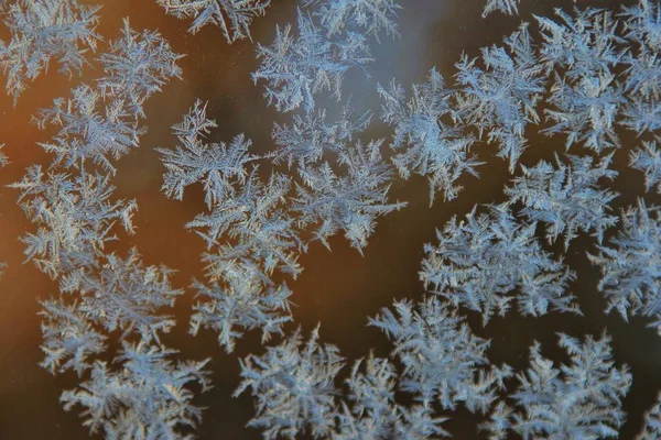 Ice Crystals Form On A Vehicle Window As Severe Winter Storms Hit Northern America With Freezing Cold Temperatures Sweeping Across The Land Water Turns Into Delicate And Finely Shaped Artwork Stock Ice Crystals Form On A Vehicle Window As Severe Winter Storms Hit Northern America With Freezing Cold Temperatures Sweeping Across The Land Water Turns Into Delicate And Finely Shaped Artwork Stock