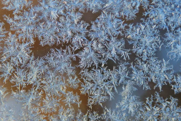 Kuzey Amerika'yı vuran şiddetli kış fırtınaları bir aracın camında buz kristalleri oluşur. Dondurucu soğukhavalar karayı kasıp kavuruyorsa, su hassas ve ince şekilli sanat eserine dönüşür.