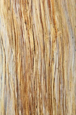 arka plan için ahşap doku tam kare çekim