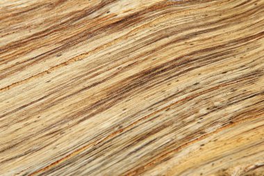 arka plan için ahşap doku tam kare çekim