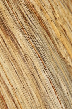 arka plan için ahşap doku tam kare çekim