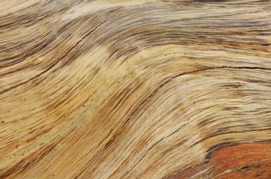 arka plan için ahşap doku tam kare çekim