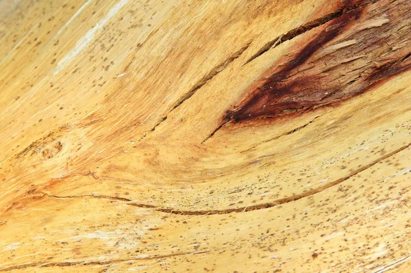 Pełnoklatowy Strzał Drewnianej Tekstury Dla Tła — Zdjęcie stockowe