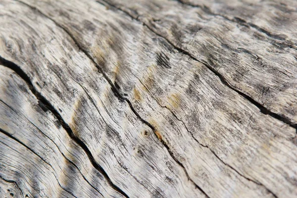 Full Frame Shot Wooden Texture Background — Stock Photo, Image