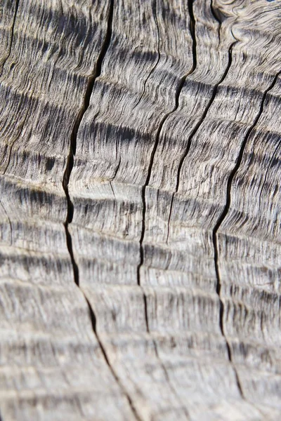 Повнокадровий Знімок Дерев Яної Текстури Фону — стокове фото