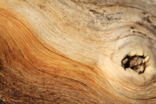 Full Frame Shot Wooden Texture Background — Stock Photo, Image