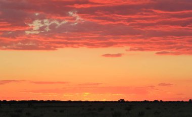 güzel turuncu Afrika günbatımı doğal çekim