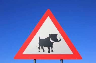 mavi gökyüzü önünde warthog yol işareti yakın çekim