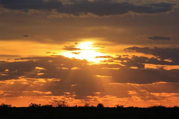 Foto Cênica Belo Pôr Sol Laranja Africano — Fotografia de Stock