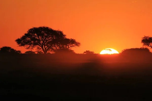Malownicze Ujęcie Pięknego Pomarańczowego Afrykańskiego Zachodu Słońca — Zdjęcie stockowe
