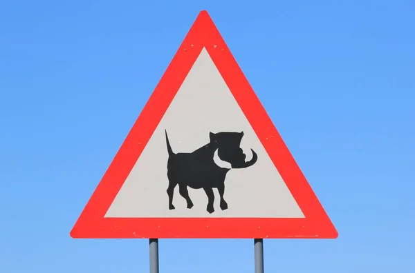 Close Shot Warthog Road Sign Front Blue Sky — Stock Photo, Image