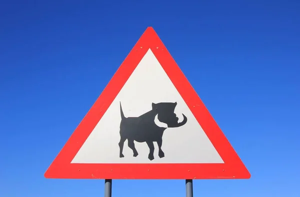 Close Shot Warthog Road Sign Front Blue Sky — Stock Photo, Image