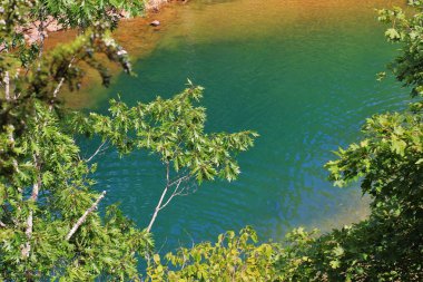 Yaz missouri, ABD üzerinde gelişir gibi su Mavi havuz. Şenlikli ve mutlu zamanların ilham verici görüntüsü. Doğada güzel renkler