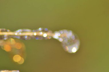 Kış Arka Planı - Renkli Doğada Buz - Donmuş dallar