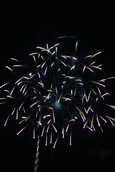 Fogos Artifício Explosão Cor Beleza Através Céu Noturno Como Celebrações — Fotografia de Stock