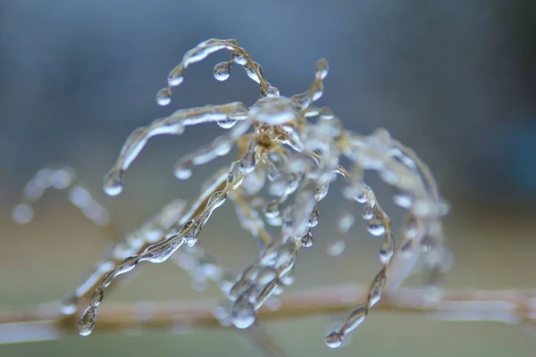 Winter Achtergrond Ijs Kleurrijke Natuur Bevroren Takken — Stockfoto