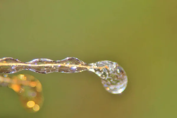 Winterhintergrund Eis Bunter Natur Gefrorene Äste — Stockfoto