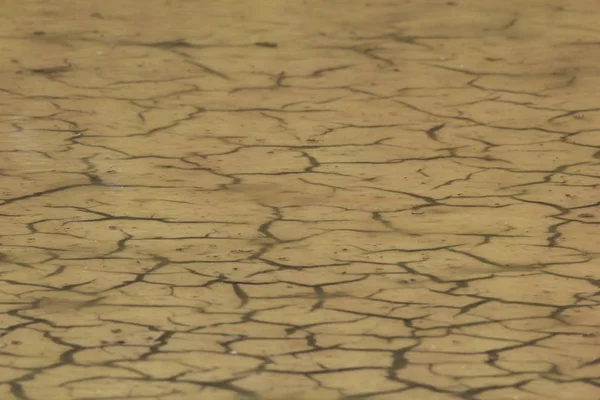 Granit Kaya Duvar Arka Plan 