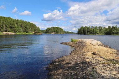 Gündüz vakti yeşil ağaçlarla çevrili göl manzarası 