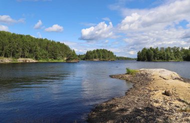 Gündüz vakti yeşil ağaçlarla çevrili göl manzarası 
