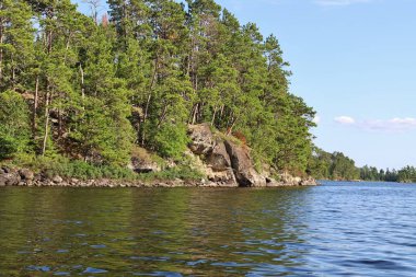 Gündüz vakti yeşil ağaçlarla çevrili göl manzarası 