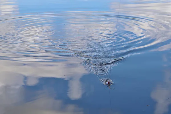 Fish Caught Hook Pond Water Daytime — Stockfoto