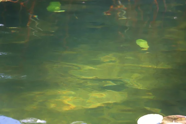 Gündüz vakti dalgalı göletin kapatılması 