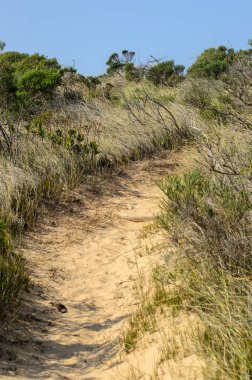 Robberg doğa rezerv plettenberg bay Hint Okyanusu dalgaları. Güney Afrikalı güzel manzara, Güney Afrika, Garden route. Soth Afrika Cennet plaj seyahat deneyimi