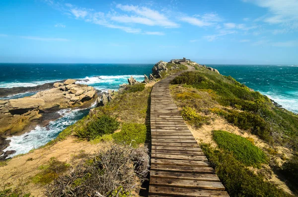 Penisola Robberg Riserva Naturale Robberg Paesaggio Uccelli Marini Che Volano — Foto Stock