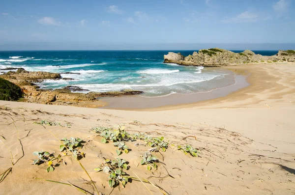 Robberg doğa rezerv plettenberg bay Hint Okyanusu dalgaları. Güney Afrikalı güzel manzara, Güney Afrika, Garden route. Soth Afrika harika yer Beach seyahat deneyimi