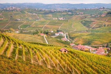 Langhe e Roero üzüm bağları tepeler. Sonbahar manzara, Barolo, şarabı, Barcaresco şarap. Cuneo eyaletinde, Piedmont, İtalya.