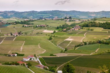 Manzara Langhe üzüm bağları tepeler. Barolo yakınlarında bağcılık. Piedmont, İtalya, Unesco mirası