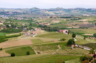Manzara Langhe üzüm bağları tepeler. Barolo yakınlarında bağcılık. Piedmont, İtalya, Unesco mirası