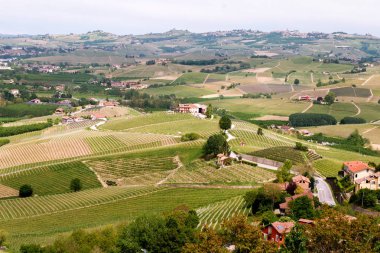 Manzara Langhe üzüm bağları tepeler. Barolo yakınlarında bağcılık. Piedmont, İtalya, Unesco mirası