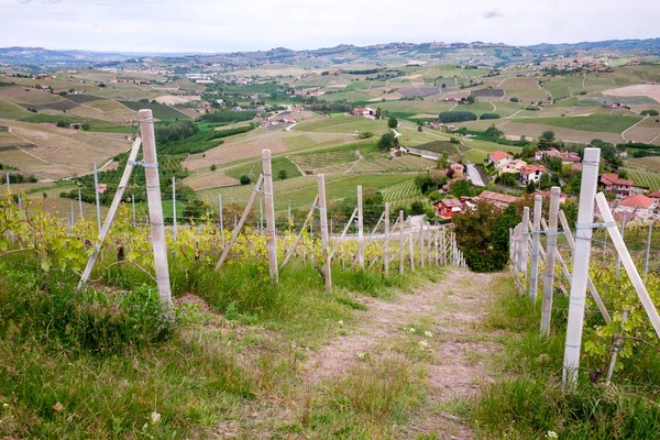 Vista das vinhas para as colinas na primavera, Viticultura Langhe e Roero. Piemonte, Itália, Património da Unesco — Fotografia de Stock