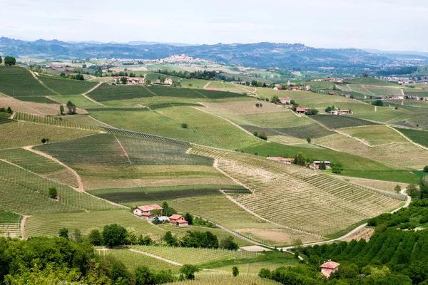 Táj Langhe szőlő hegyek. Borászat közel Barolo. Piemont, Olaszország, UNESCO Világörökség — Stock Fotó